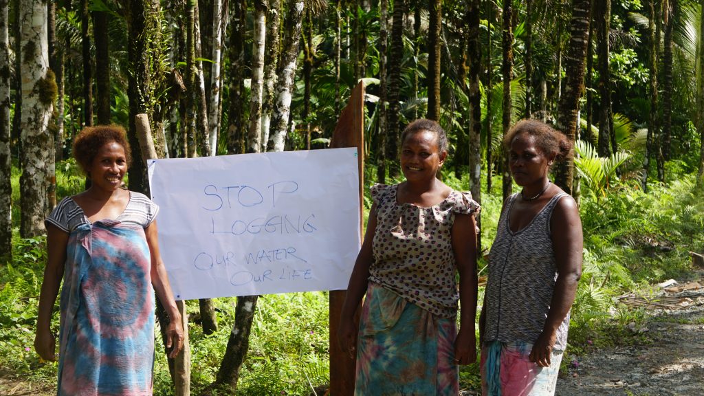 Community’s resilience to save water source